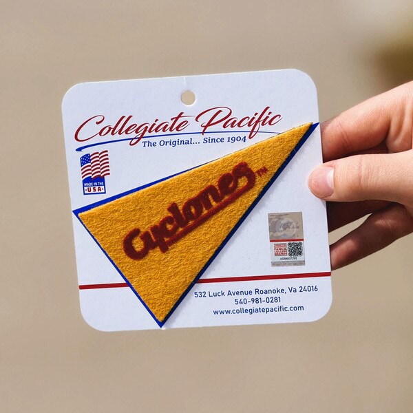 Cyclones Script Gold Mini Magnet